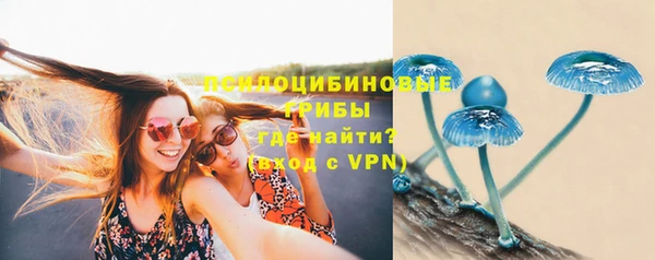 мяу мяу мука Богородицк