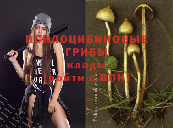 гидра Беломорск