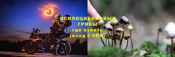 экстази Богородск