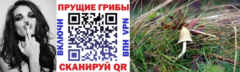 Галлюциногенные грибы MAGIC MUSHROOMS  Воскресенск 